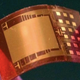 Illustration for article titled Biggest Scientific Breakthroughs of 2011